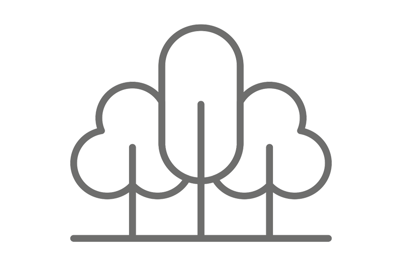 Medioambiente